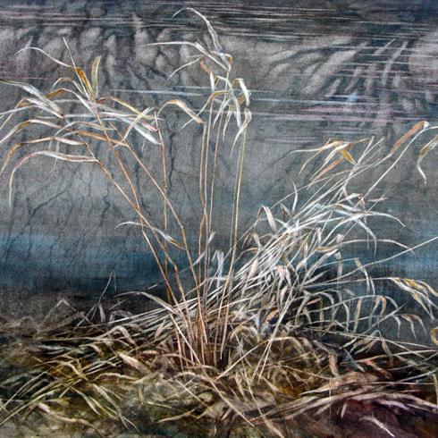 Шелест. Акварель. 2014. 51х71