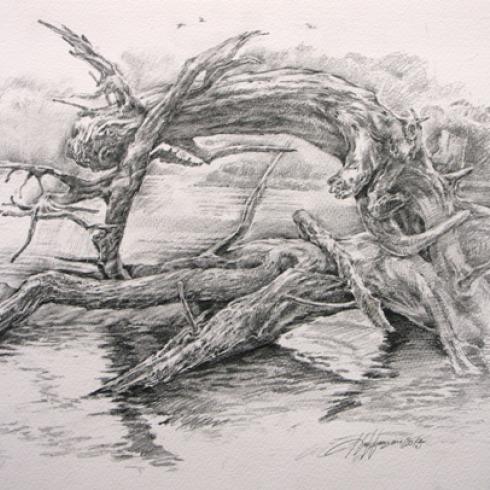 Бай Лунг. Бумага. Карандаш. 2015. 37х55