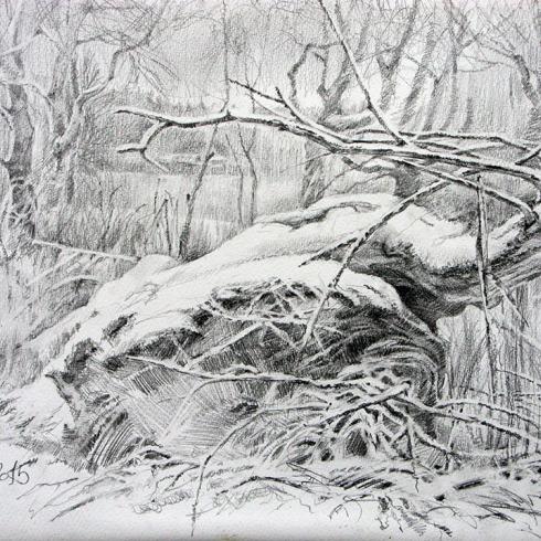 Elephant. Бумага-карандаш. 2015. 55х37