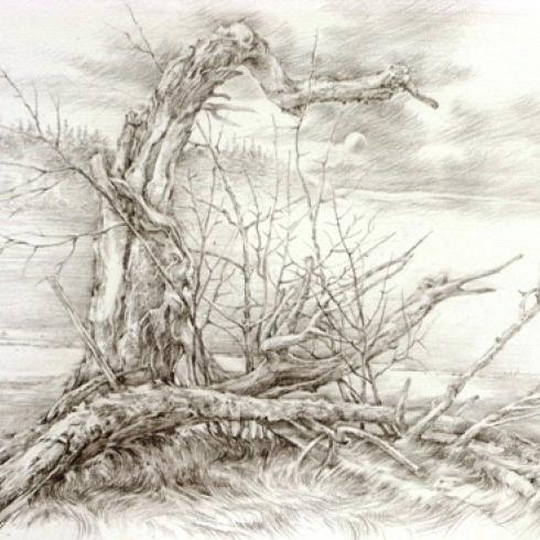 Меланхолия. Бумага. Карандаш. 2016. 37х55