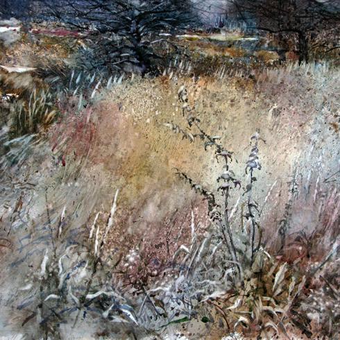 Сон трава. Акварель. 2014. 51х71