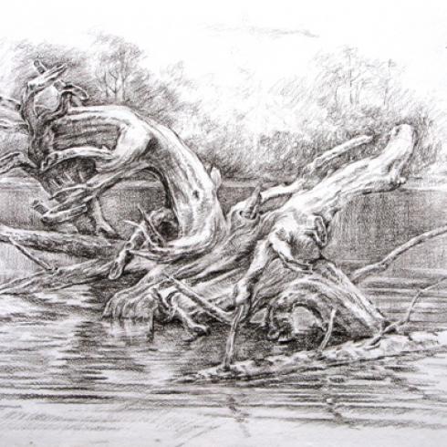 Водный дракон. Бумага. Карандаш. 2016. 37х55